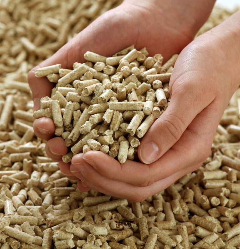 Biomass-pellets
